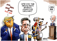ALLEGED BIDEN DECLINE COVER UP by Dave Whamond