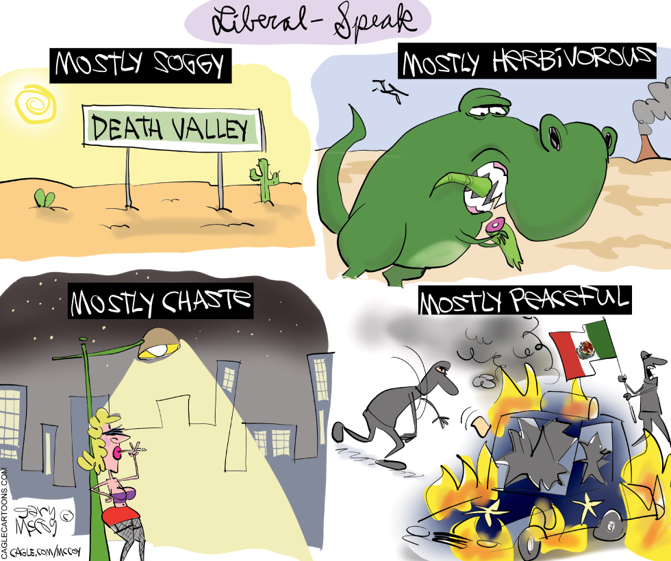 The Mostly Peaceful Lie