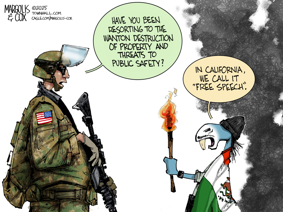 Left-Wing Riots in California