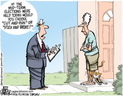 MID-TERM POLL by Jeff Parker