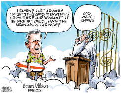 BRIAN WILSON TRIBUTE by Dave Whamond