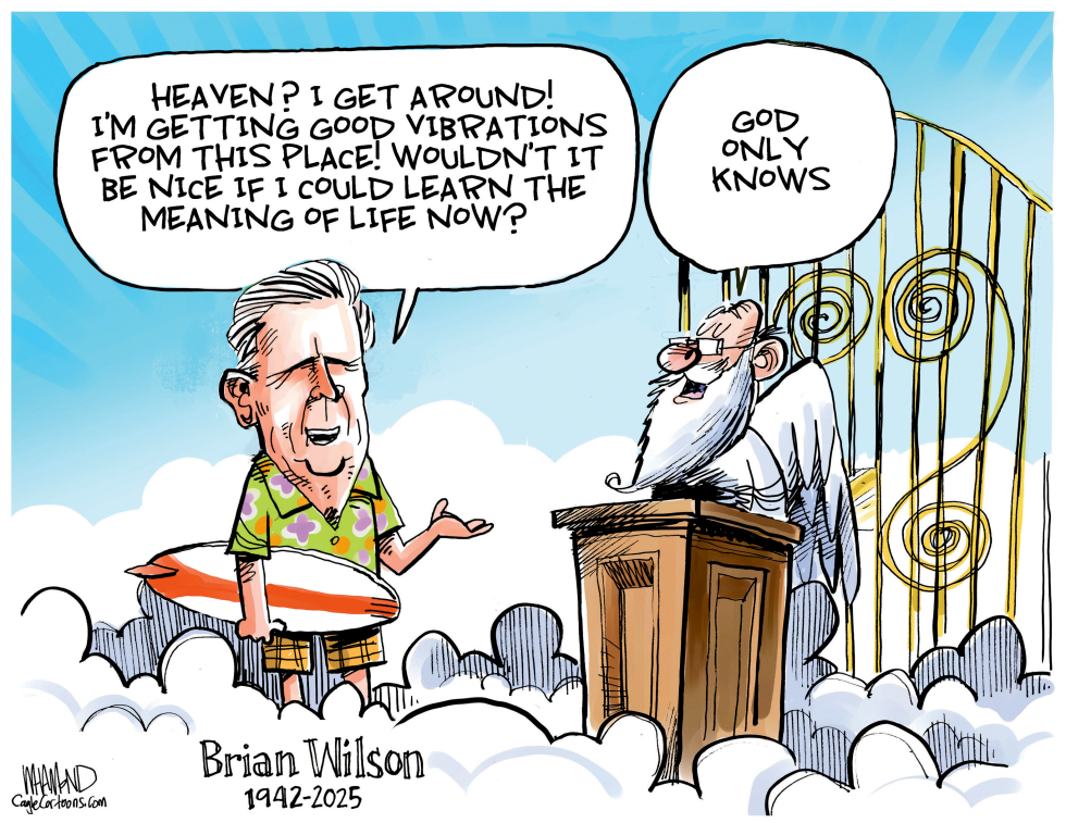 #3 BRIAN WILSON TRIBUTE by Dave Whamond