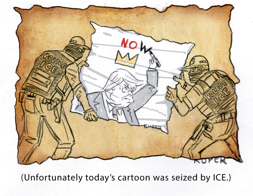 ICE Agents Indiscriminate Seizures