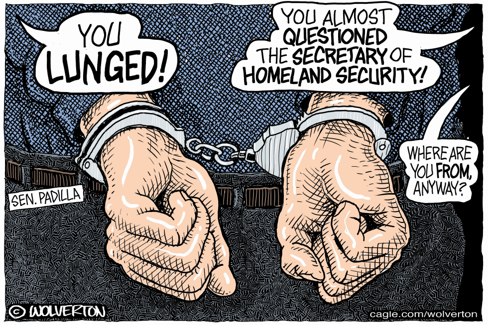 #2 SENATOR PADILLA CUFFED FOR LUNGING by Monte Wolverton