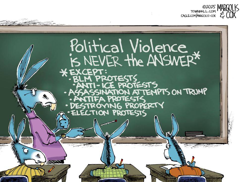 Democrats Hypocrites on Political Violence