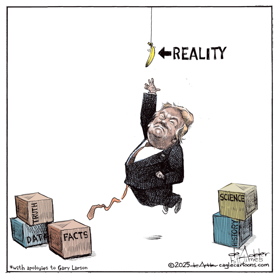 Reality to Donald Trump