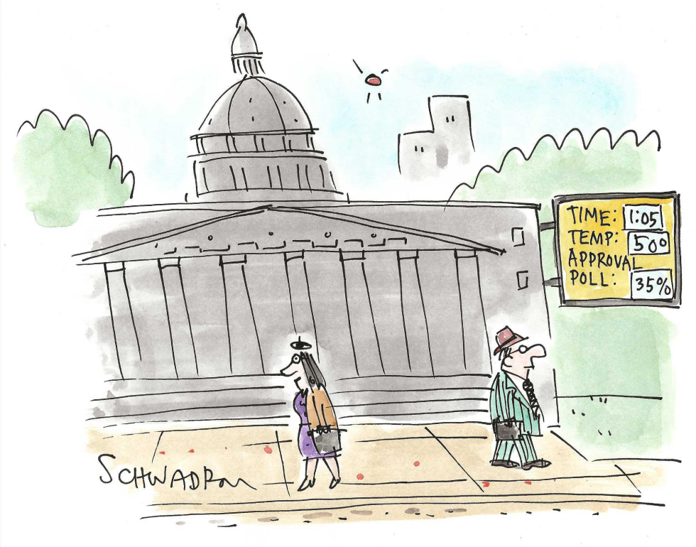 Government approval rating