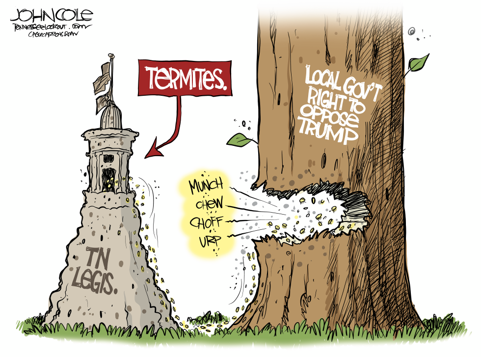 TN Legislative termites