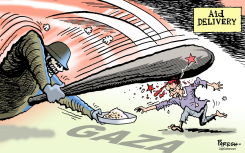 GAZA DEADLY DELIVERY by Paresh Nath