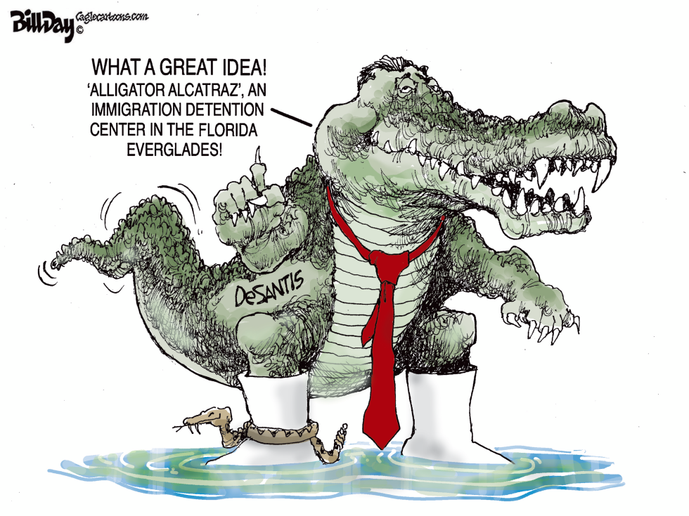 Florida Alligator Alcatraz