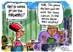 FOURTH OF JULY FIREWORKS by Guy Parsons