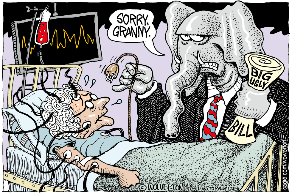 GOP Elephant Unplugs Granny Over Big Ugly Bill and Medicaid Cuts