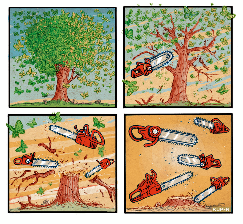 Habitat Destruction = Pollinator Extinction