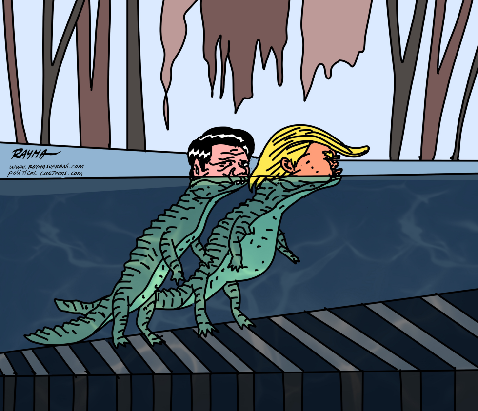 Alligator & Alcatraz
