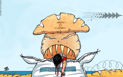 GAZA AID MASSACRES BREAD GHF IDF WARCRIMES by Emad Hajjaj