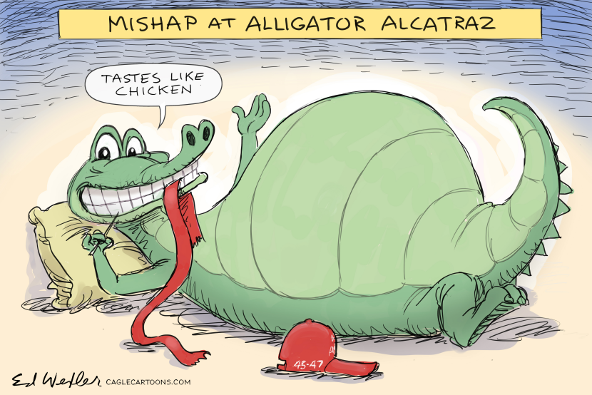 Aligator Alcatraz Tastes Like Chicken