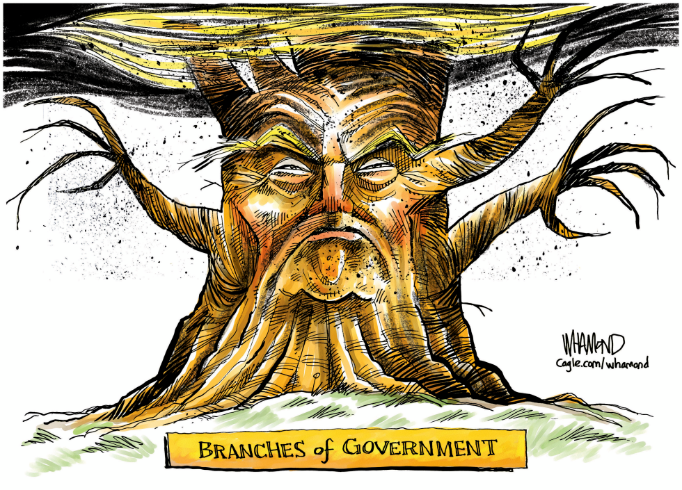 Tree Trump branches of government