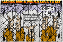 DEMOCRATS SENT TO ALLIGATOR ALCATRAZ by Monte Wolverton