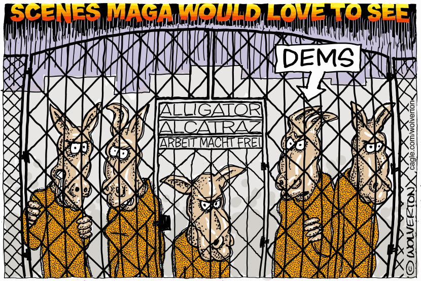 Democrats Sent to Alligator Alcatraz
