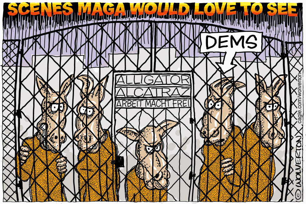 Democrats Sent to Alligator Alcatraz