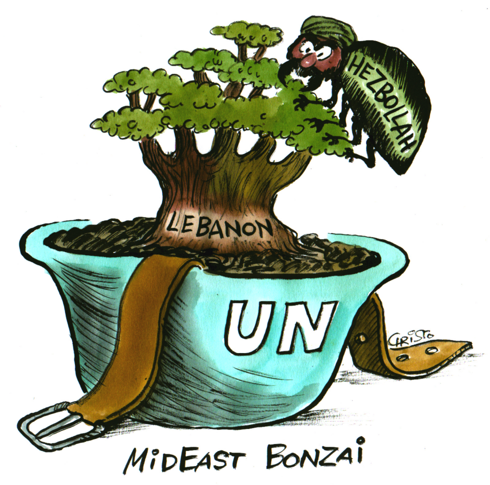Mideast Bonzai - COLOR
