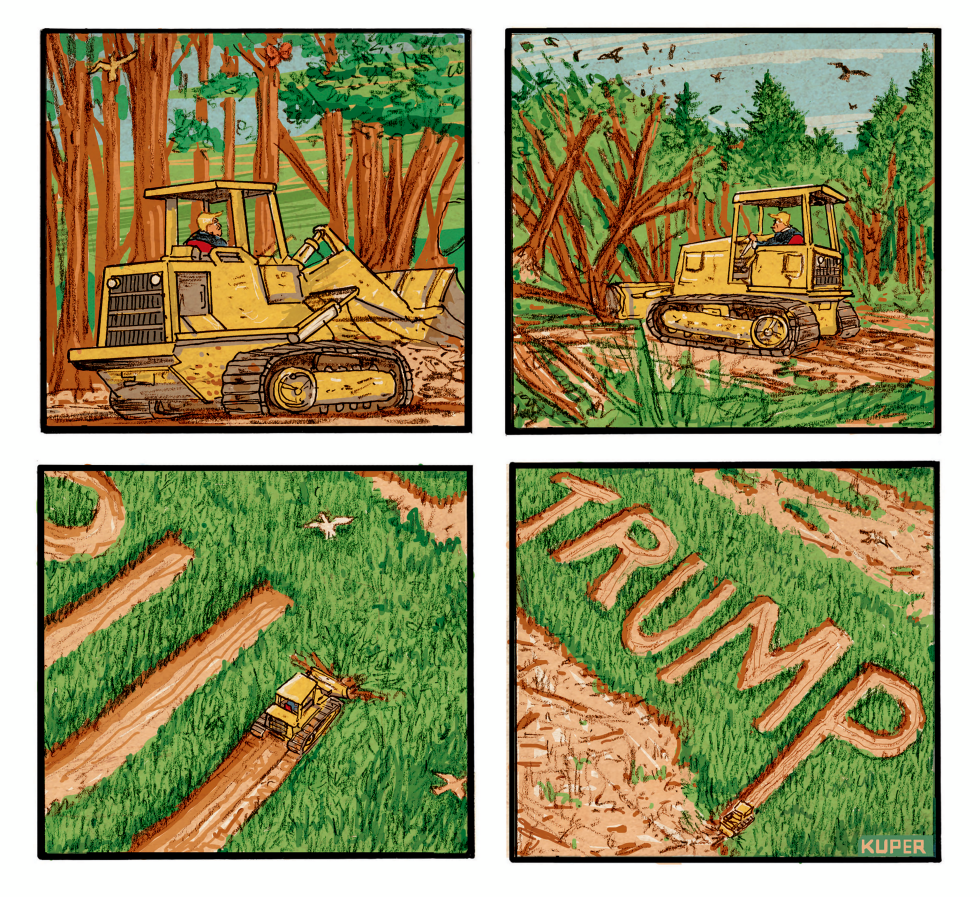 Trump Opens National Forests To Loggers