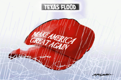 MAGA UNDERWATER by Malcolm McGookin