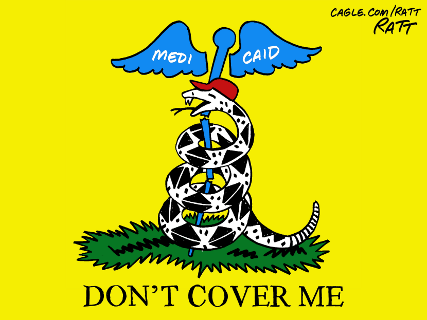 Medicaid Symbolism Twists Gadsden Flag in Rural Healthcare Debate