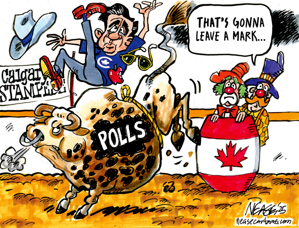 Rodeo Polls