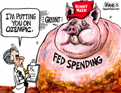 SPENDING CUT by Steve Nease