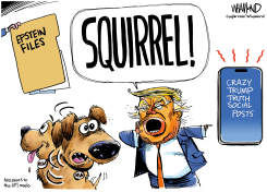 TRUMP DISTRACTIONS FROM EPSTEIN FILES by Dave Whamond