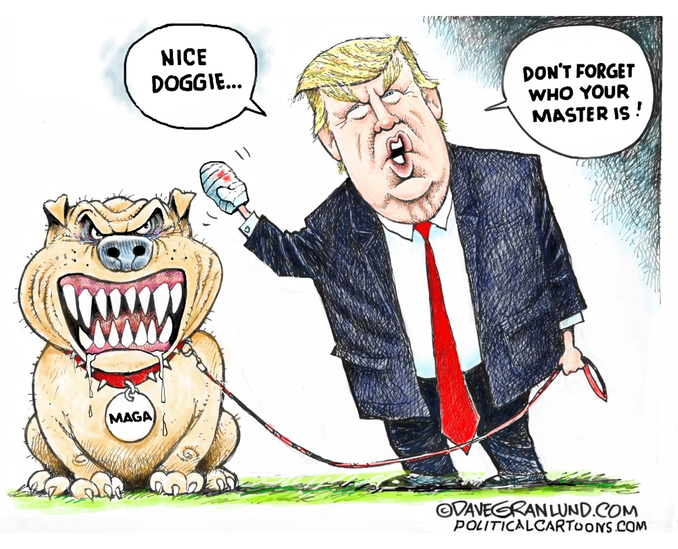 MAGA turns on Trump