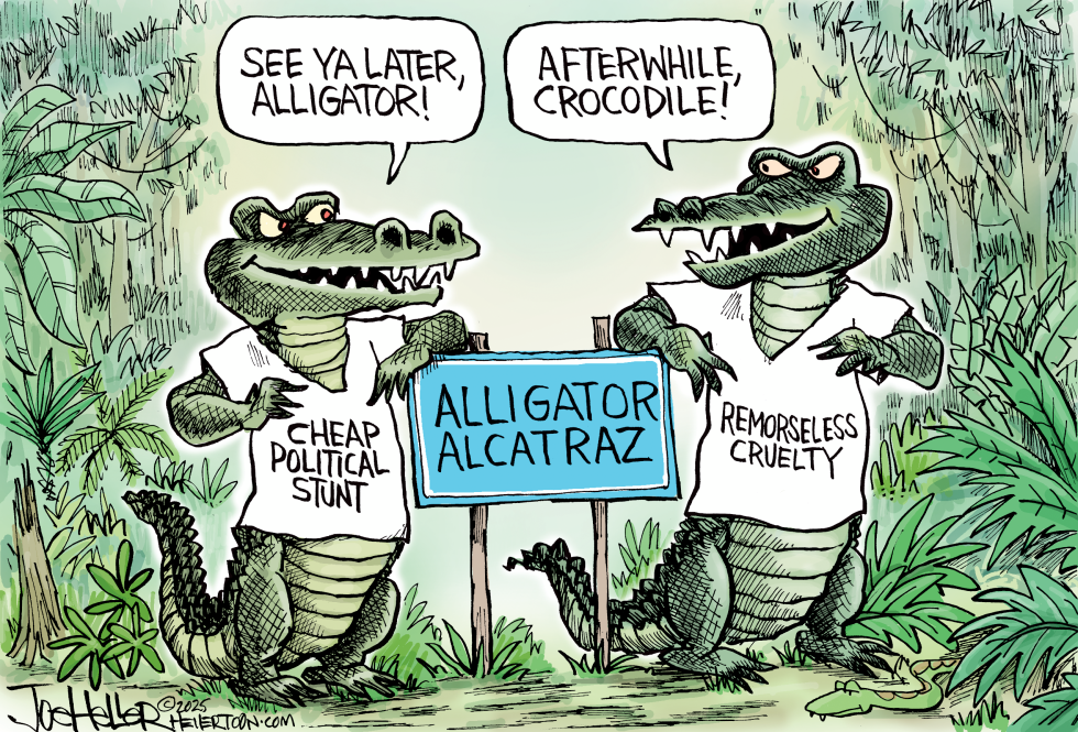 Later Alligator