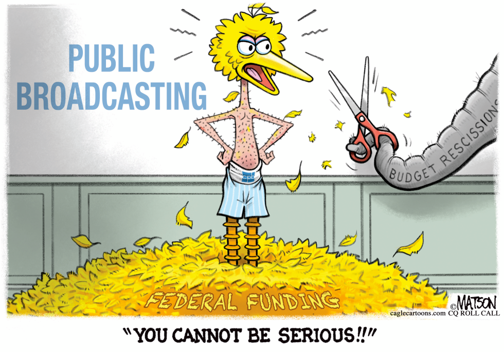 Big Bird Protests Federal Funding Cut
