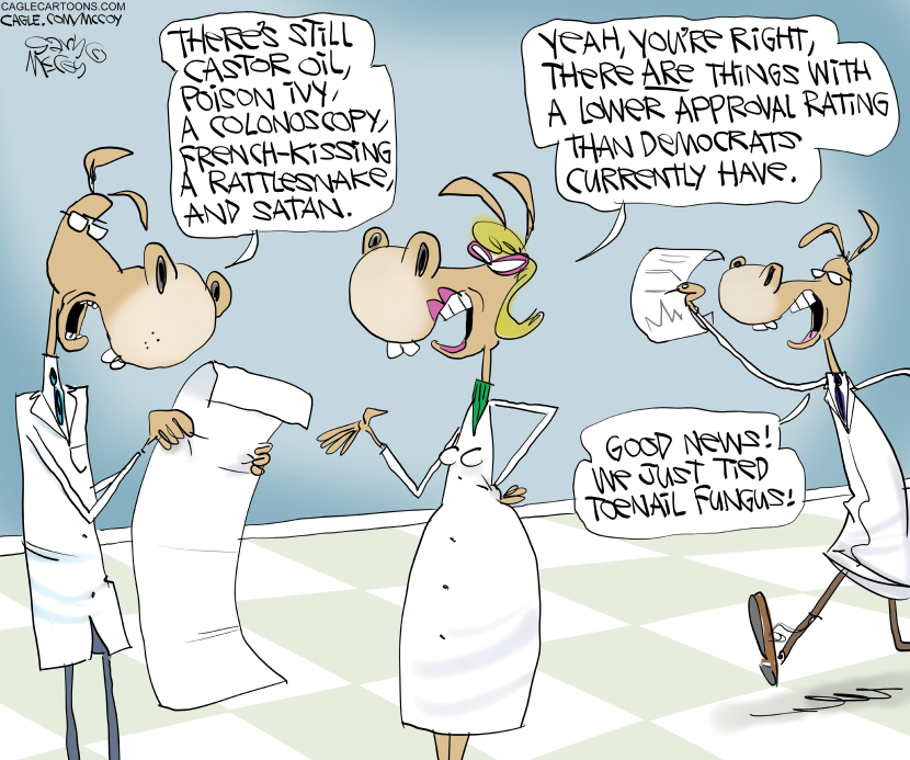 Bad Approval Ratings for Democrats