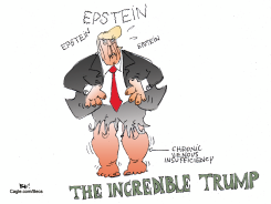 THE INCREDIBLE by Becs