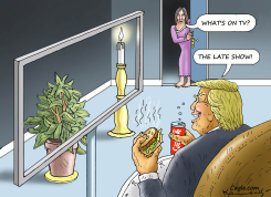 THE LATE SHOW by Marian Kamensky