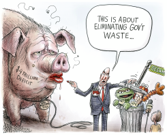 CUTS TO PUBLIC MEDIA by Adam Zyglis