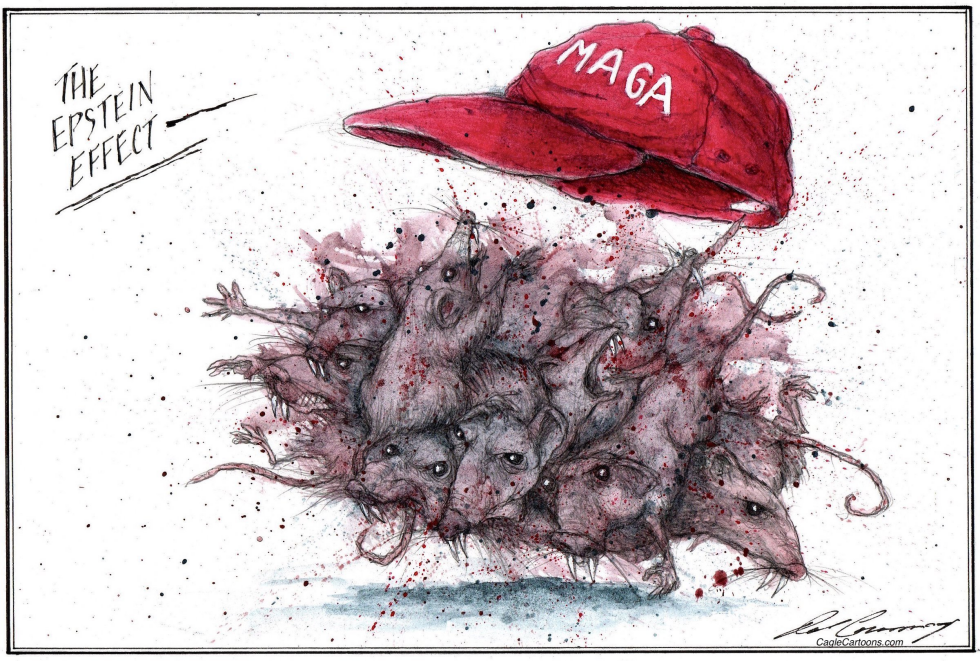 MAGA rats fight each other