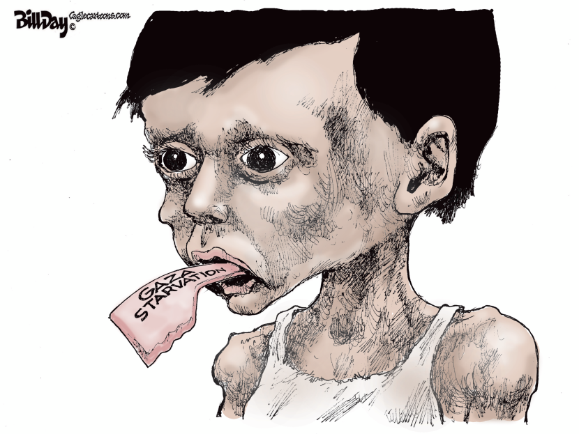 Gaza Starvation