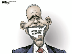 ANOTHER TRUMP DISTRACTION by Bill Day