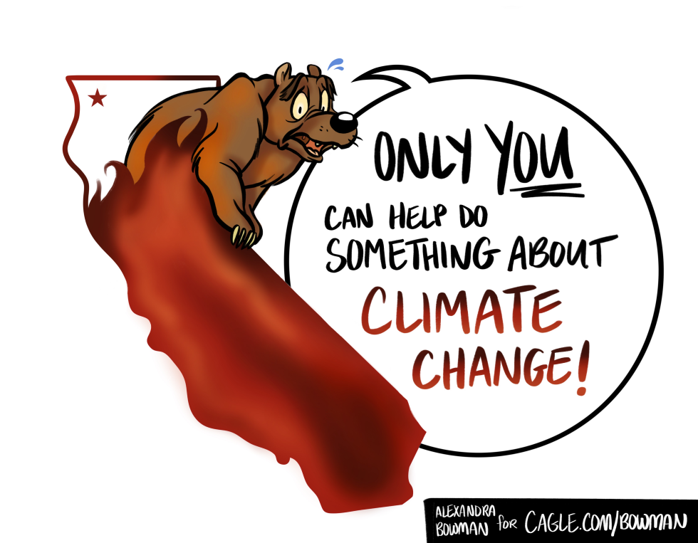 Smokey Bear and Wildfires in California Flag