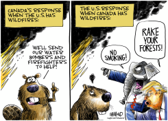 CANADIAN WILDFIRE RESPONSE by Dave Whamond