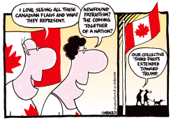 NEWFOUND PATRIOTISM by Ingrid Rice