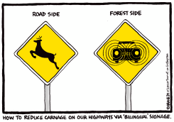 REDUCING CARNAGE ON OUR HIGHWAYS by Ingrid Rice