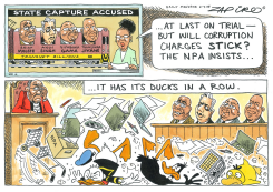 DUCKS IN A ROW by Zapiro