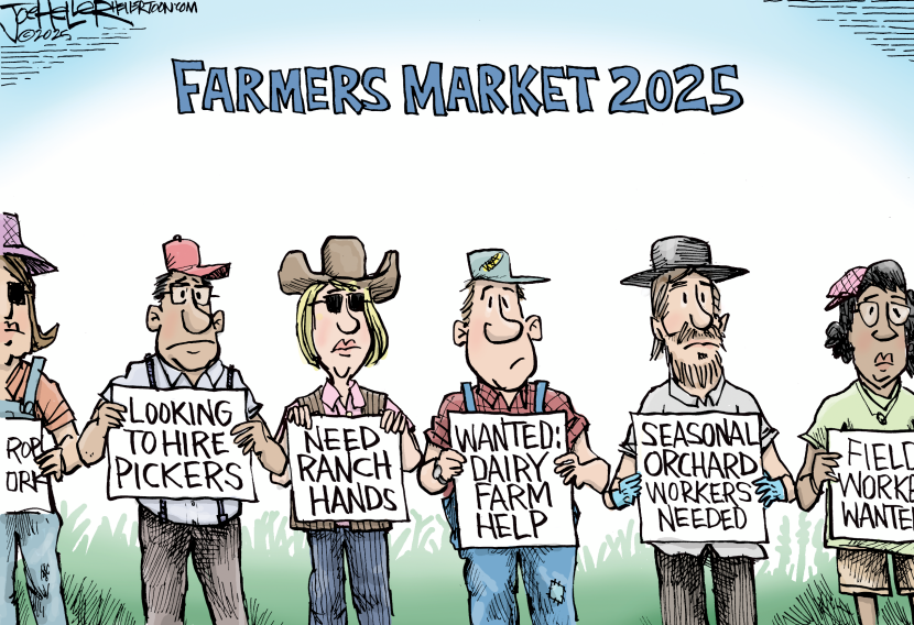 Farmers Market