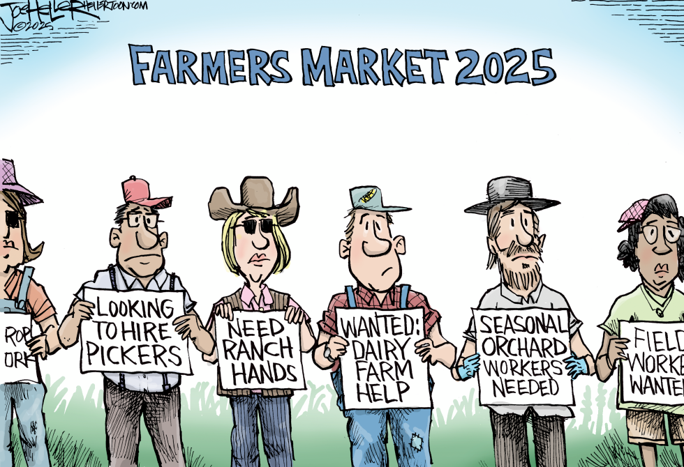Farmers Market