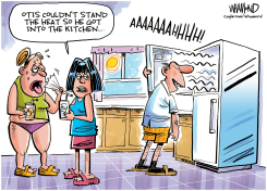 RECORD HEAT SCORCHES COUNTRY by Dave Whamond