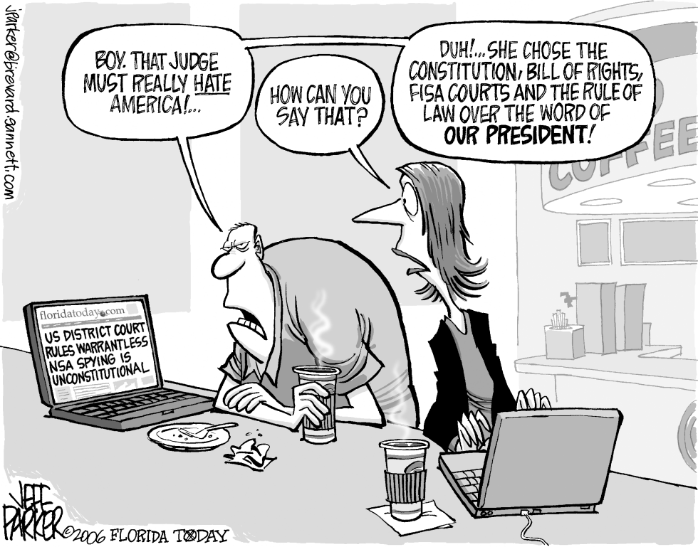 NSA Eaves Dropped